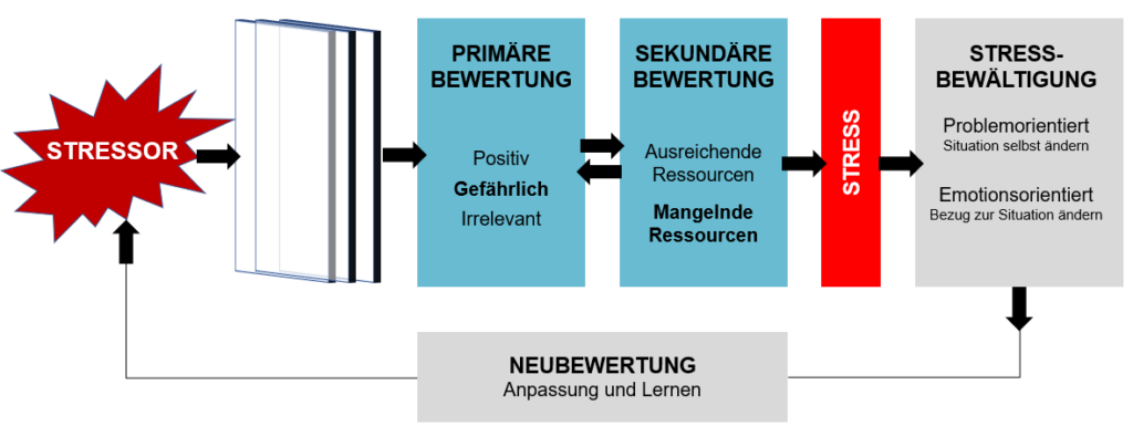 Transaktionales Stress-Modell nach Lazarus