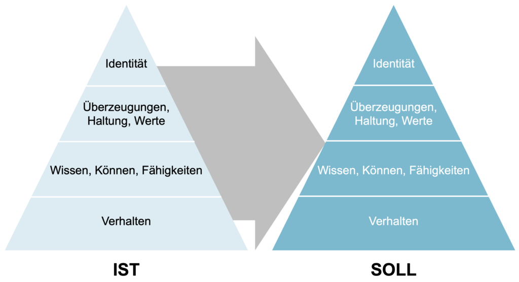 Die Ist-Soll-Analyse